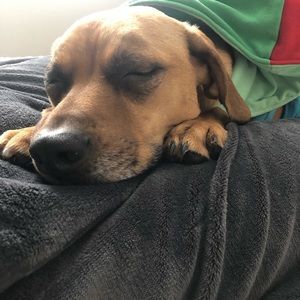 Meet your Posher, Brandon